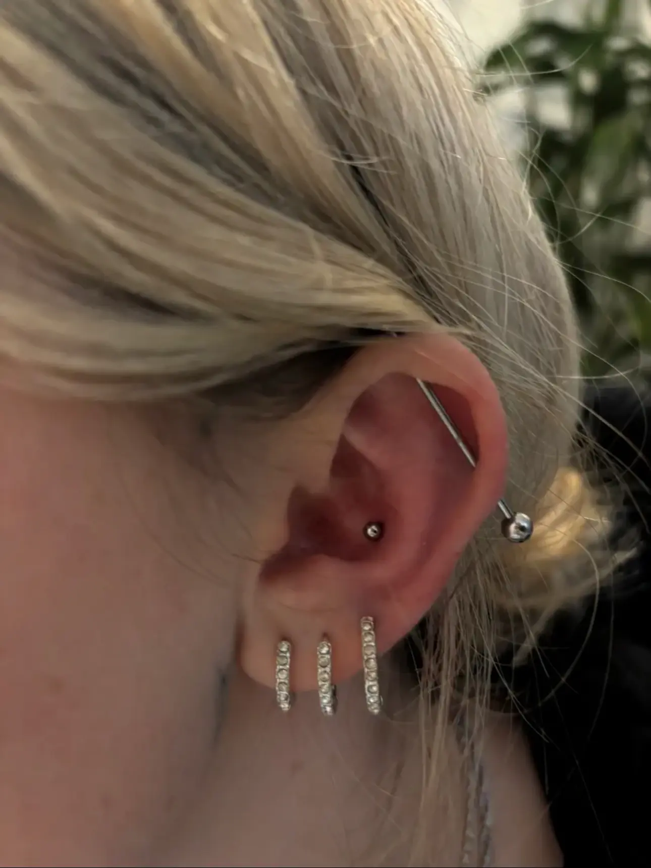 Industrial bar with conch and three lobe hoops
